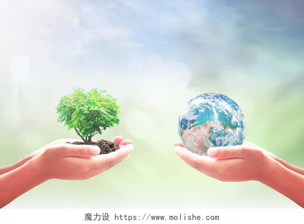 两只手捧着地球和壁炉形状的树世界卫生日